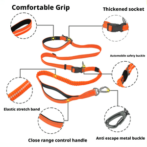 6 - in - 1 Multifunctional Dog Leash - Hands - Free, Adjustable & Reflective Pet Walking Lead - BuddyGlee Pets