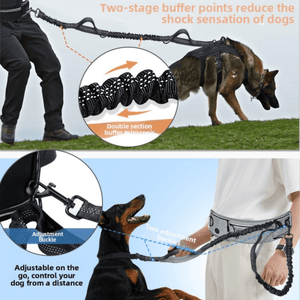 Hands - Free Running Waist Bag with Dog Leash - Reflective Waterproof Belt for Jogging Walking - BuddyGlee Pets