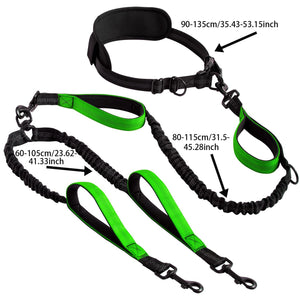 Hands-Free Running Dog Leash - Dual Leash Bungee with Waist Belt for Jogging & Training