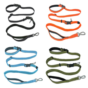 6 - in - 1 Hands - Free Dog Leash with Car Safety & Reflective Strips - Adjustable Bungee Leash - BuddyGlee Pets