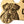 BuddyGlee Custom Brass Bone Tag - Deep Engraved & Handmade | Classic Bone Shape, Durable Smooth Edge