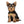 Personalized Brass Dog ID Tag - Heart Shape with Deep Laser Engraving - BuddyGlee Pets