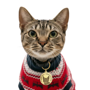 Personalized Brass Dog ID Tag - Round Design with Inner Hole Engraving - BuddyGlee Pets