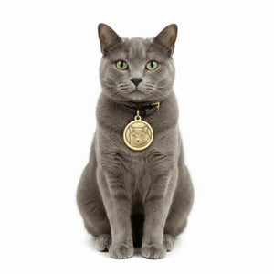 Personalized Brass Dog ID Tag - Round Design with Outer Hole Engraving - BuddyGlee Pets