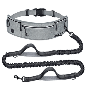 Hands - Free Running Waist Bag with Dog Leash - Reflective Waterproof Belt for Jogging Walking - BuddyGlee Pets