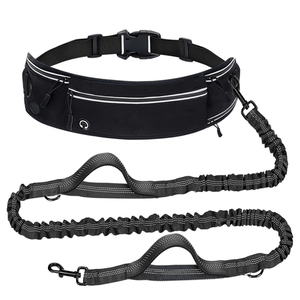 Hands - Free Running Waist Bag with Dog Leash - Reflective Waterproof Belt for Jogging Walking - BuddyGlee Pets