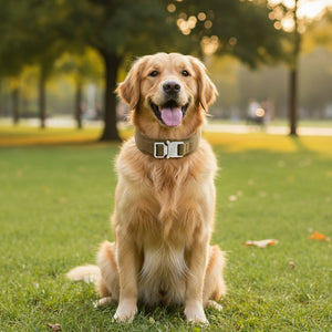 Tactical Dog Collar for Large Dogs - Heavy Duty with Control Handle & Velcro Patch