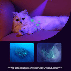 LED Pet Nail Clippers with UV Light - Professional Dog & Cat Nail Trimmer with Safety Guard - BuddyGlee Pets